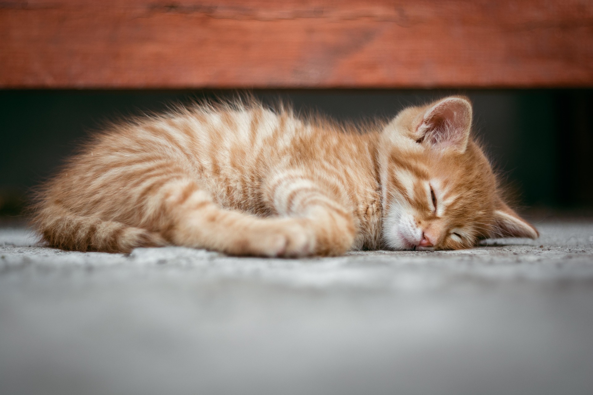 Sommeil